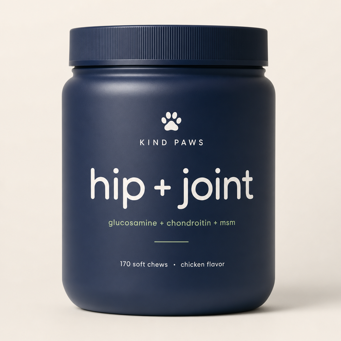 Kind Paws Hip & Joint Chews navy jar