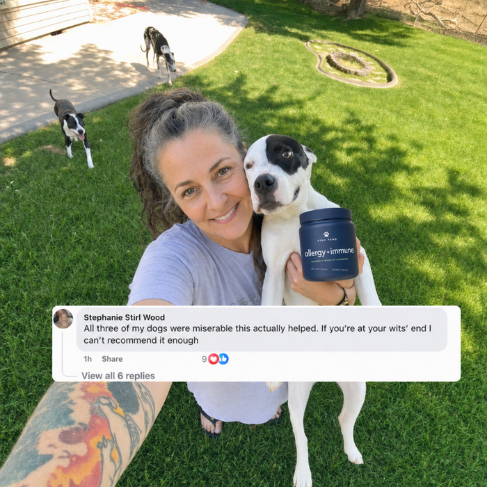 Three-dog household review — Kind Paws chews