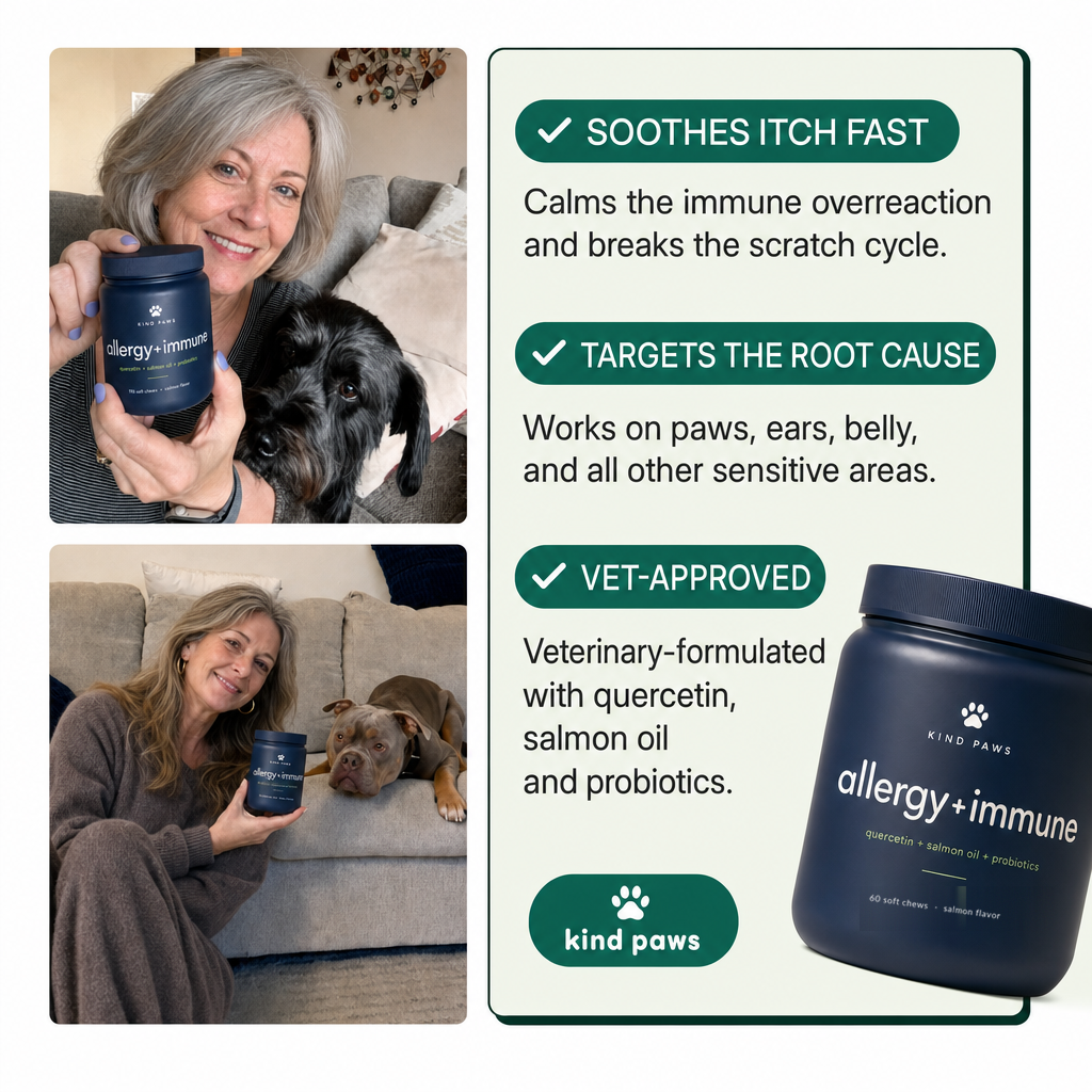 Kind Paws Allergy + Immune Chews benefits — 60 soft chews, salmon flavor