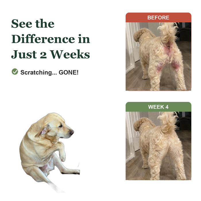 Before and after